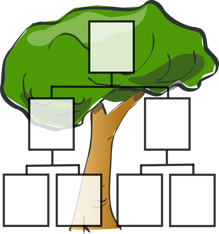 family-tree-297812_1280.png